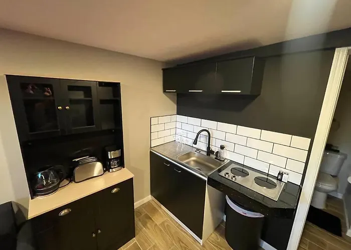 Apartment New Midtown Modern With Backyard *